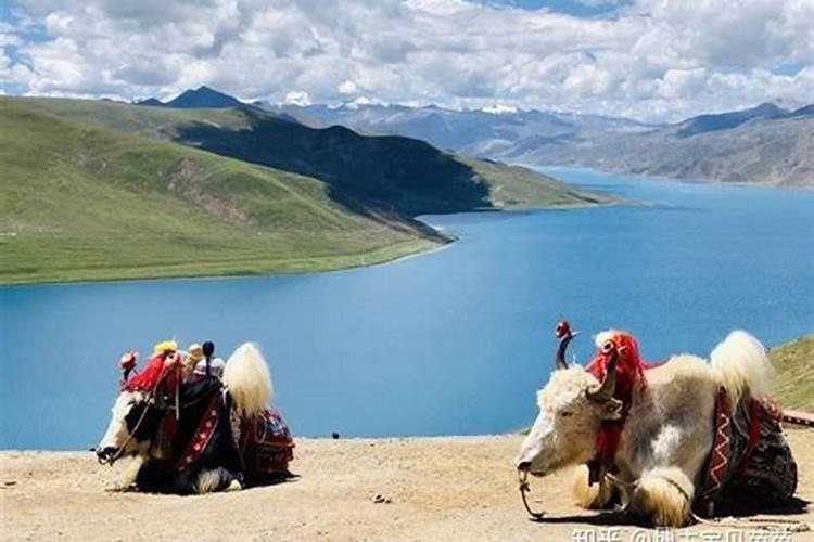 去西藏旅游10天要多少钱？