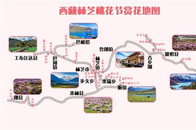 大理到林芝赏花旅游攻略费用