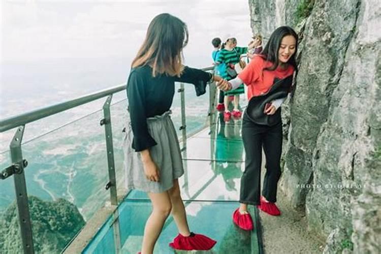 上海到张家界自行旅游