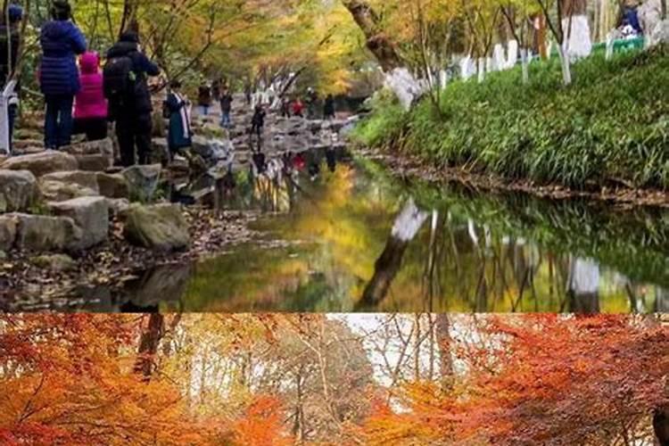 杭州九溪徒步旅游