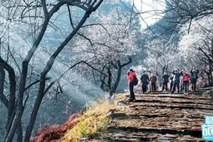 立春季节东北旅游