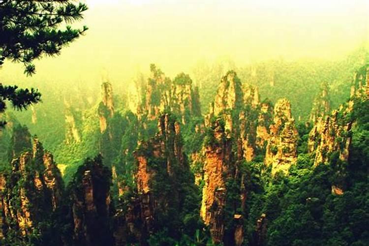 济南至张家界拼团旅游多少钱？