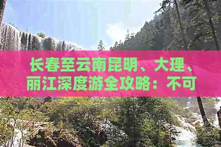 长春到云南昆明旅游