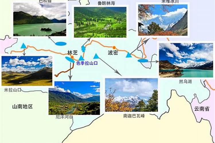 如何到林芝旅游路线？