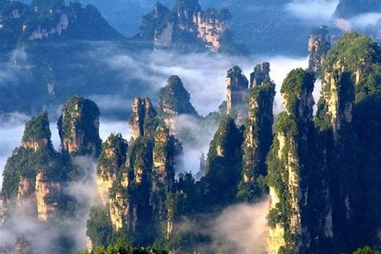 沈阳市到张家界旅游
