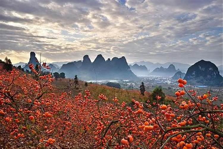 广西桂林海洋旅游
