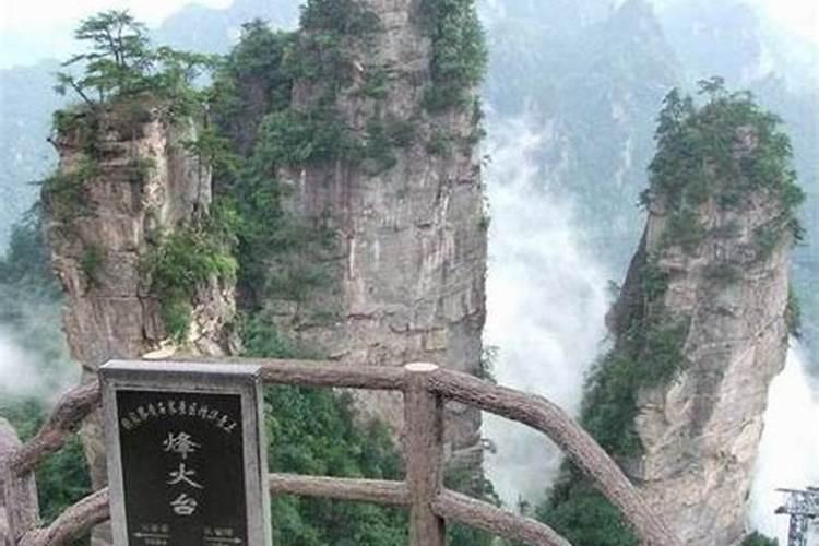 天津去张家界旅游团多少钱？