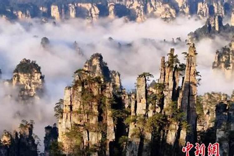 为啥去张家界旅游？