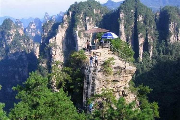 易县旅游团到张家界多少钱？