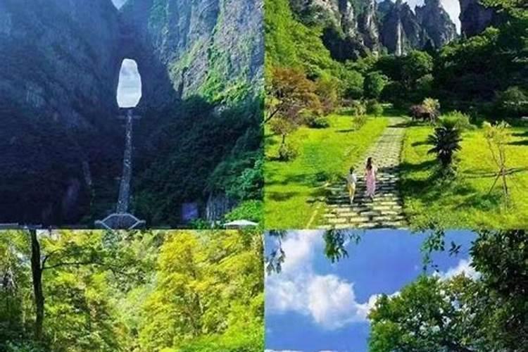 青岛至张家界跟团旅游多少钱？