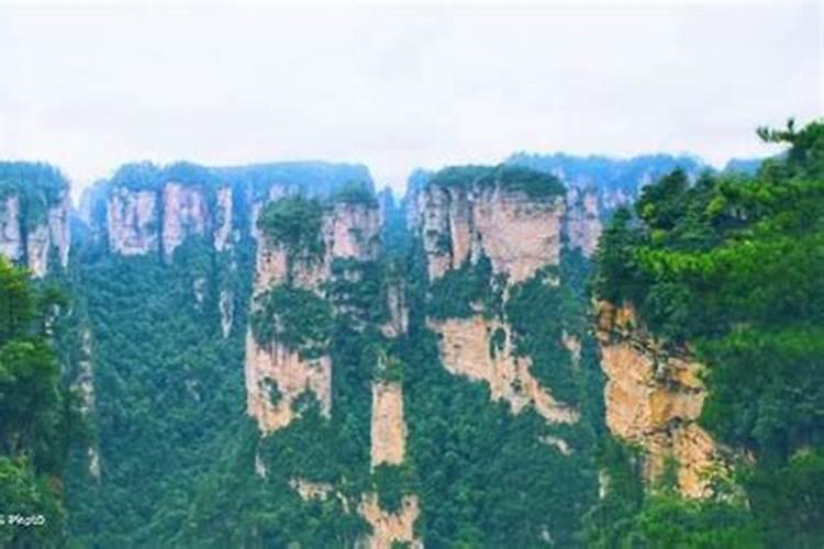 十一张家界旅游团要多少钱？