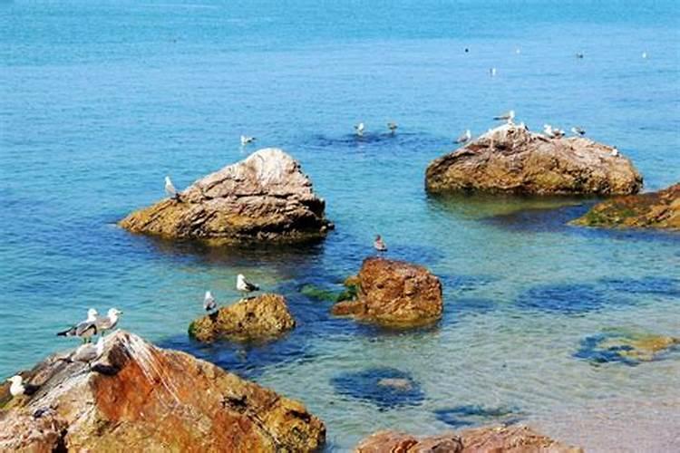 山东青岛威海旅游攻略