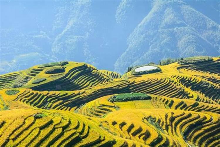 广东桂林龙胜旅游