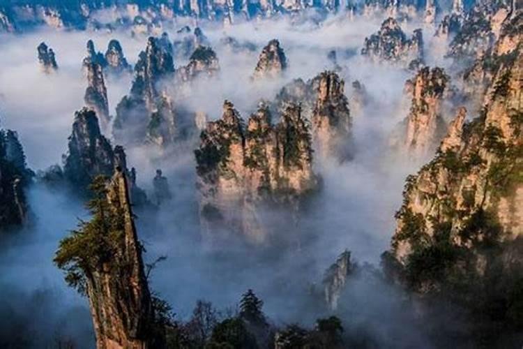 为什么韩国人都去张家界旅游？