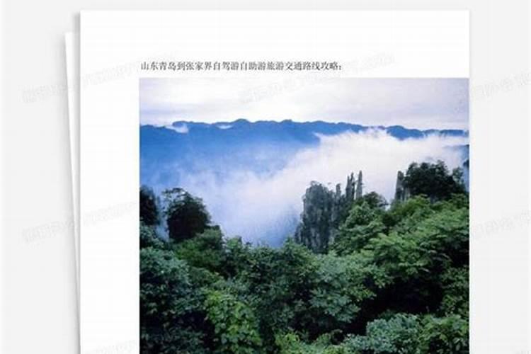 青岛到张家界自驾旅游