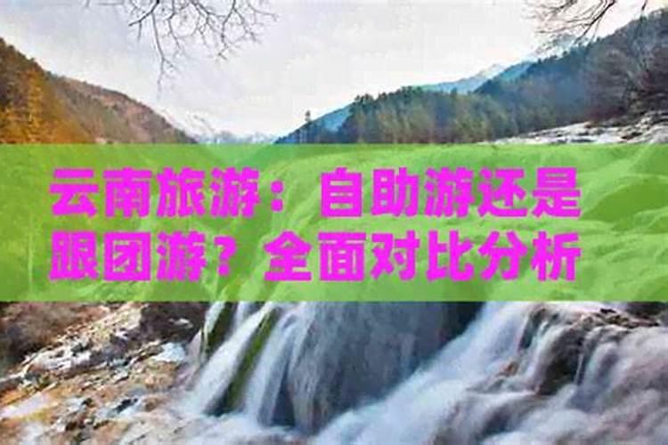 去云南旅游自助游还是跟团游？
