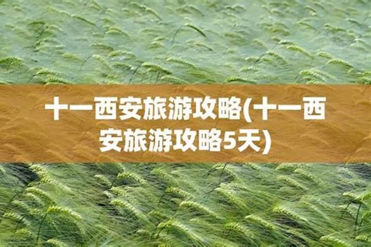 十一西安旅游攻略5天