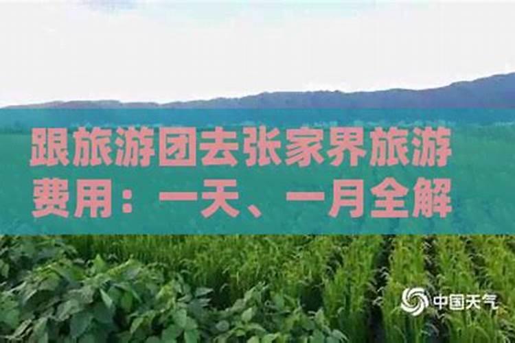 菏泽跟旅游团去张家界多少钱？