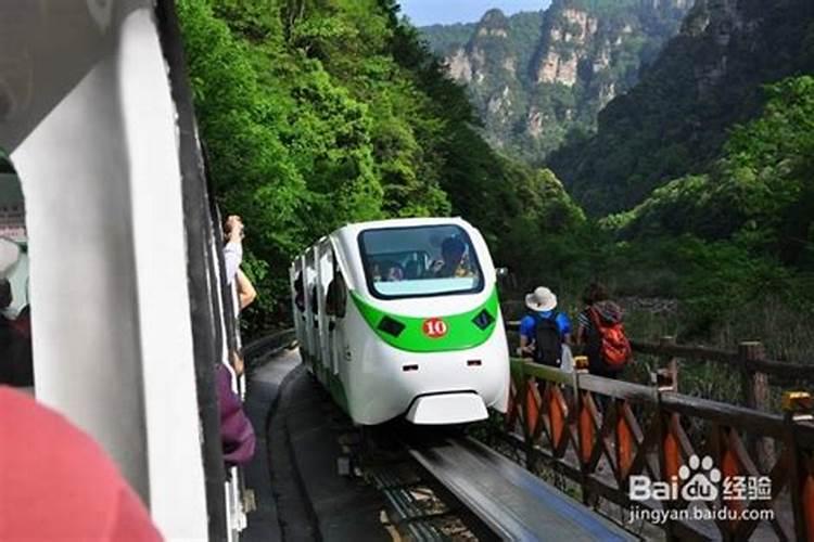 长春至张家界旅游