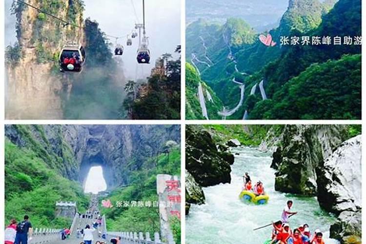从长沙怎么到张家界旅游？
