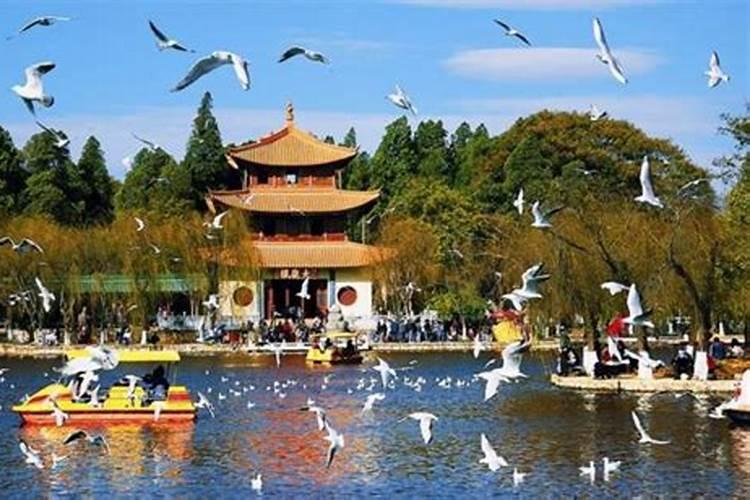 春城呼唤：武汉至昆明的绝佳旅行攻略