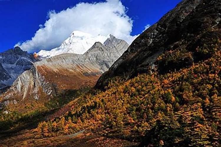 穿越云端：安陆至香格里拉的心灵之旅