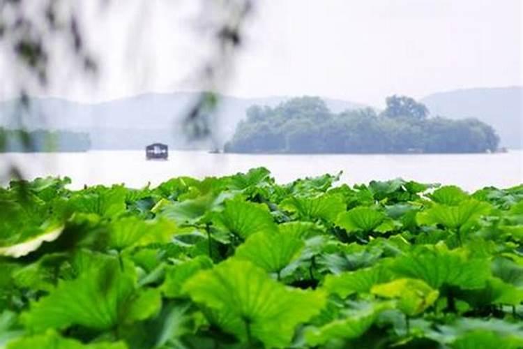 杭州下雨怎样旅游？