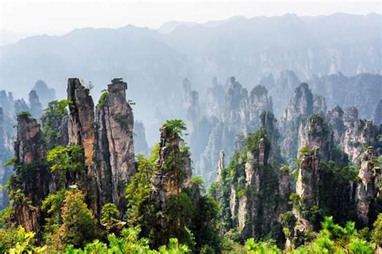 自驾去张家界怎么玩，张家界旅游指南？