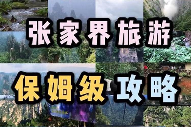 说走就走的张家界旅行，保姆级攻略很难找到了