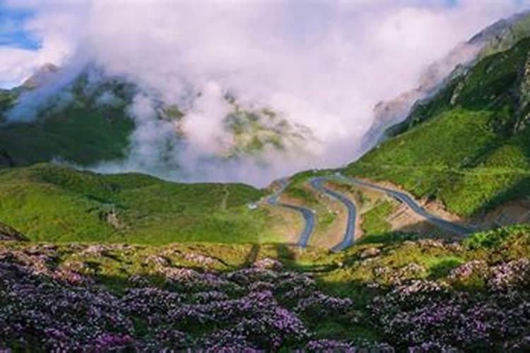 @湖北人，西藏山南邀你到雪域高原开启秘境之旅