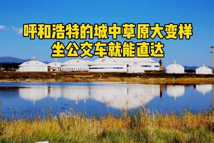 呼和浩特直达昆明后，乘动车3小时可去这些世界级旅游胜地游览