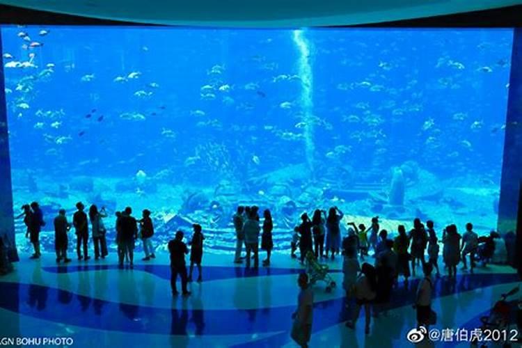 带你探寻失落的海底文明——三亚亚特兰蒂斯水族馆游玩全攻略
