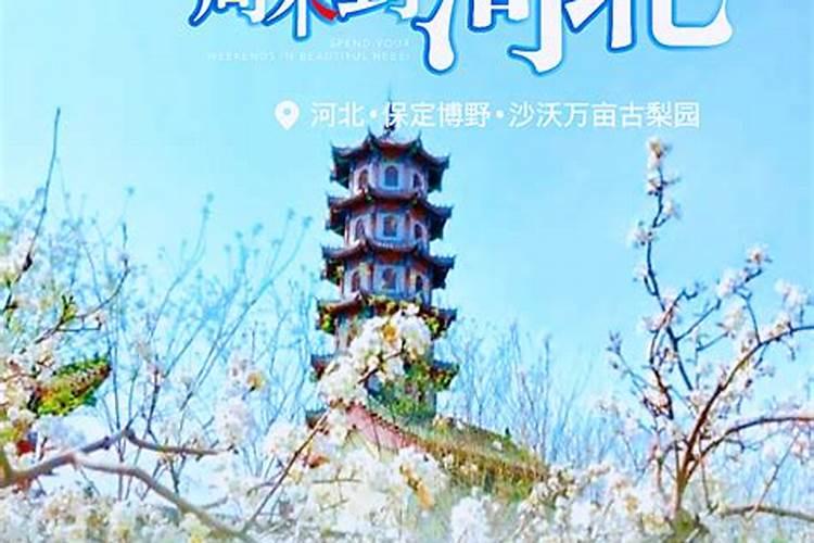这么近，那么美！这座慢城蕴藏满满水乡风味，四条线路带你解锁杭州的不同玩法！？