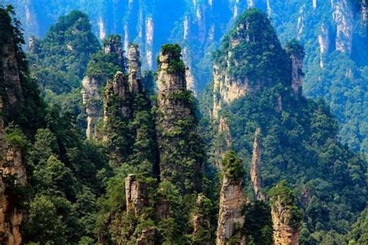记我的第一次旅行——张家界