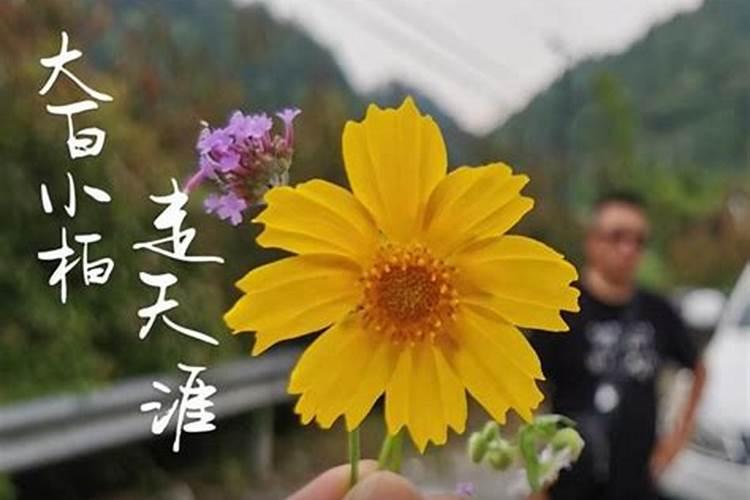 大白小柏走天涯（西藏游记）