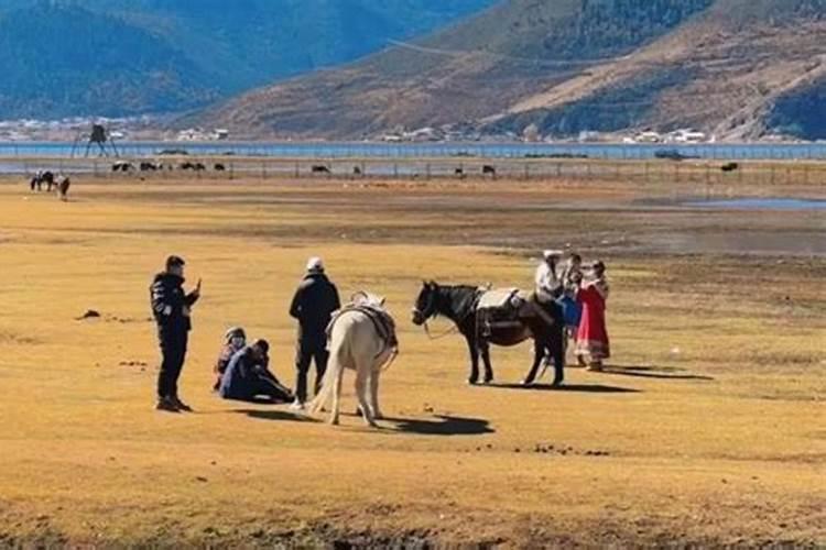 春节假期过半云南香格里拉迎来旅游“旺季”