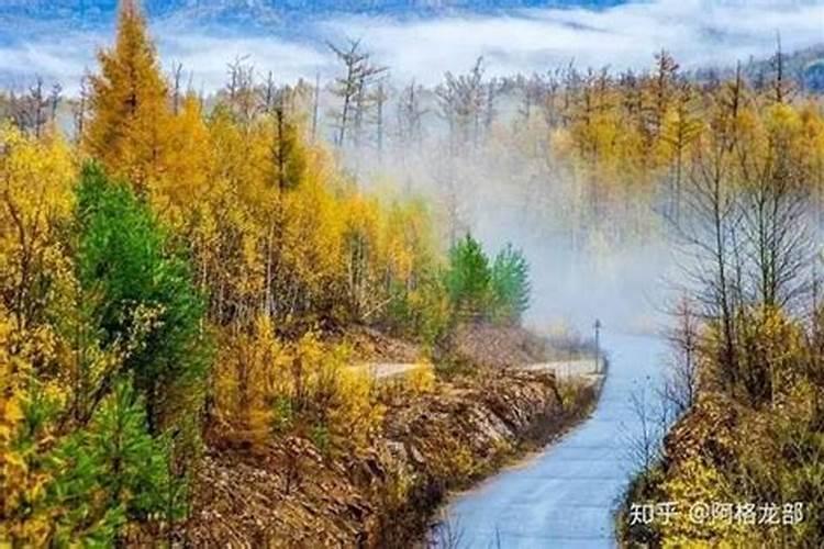 9-10月去呼伦贝尔草原-阿尔山-漠河旅游，实用攻略+最佳出游时间