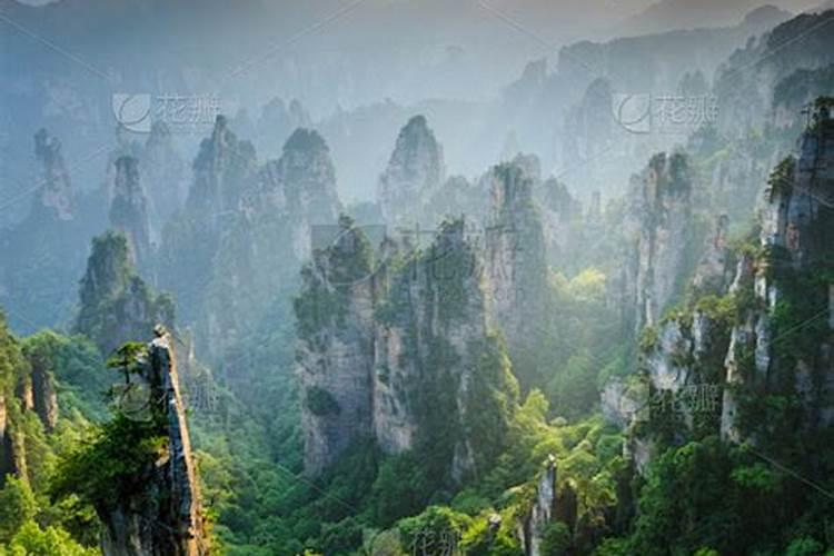 武陵源风景区获授“中国天然氧吧”称号张家界将推出民宿旅游护照电网检修公告（更多）？