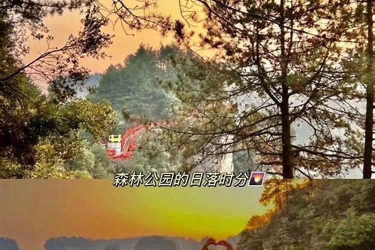 张家界五日纯玩景区景点，张家界游玩景点推荐