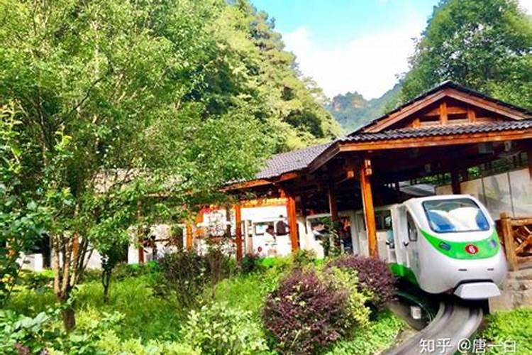 从广州去张家界旅游怎么去最方便，人均消费是多少？