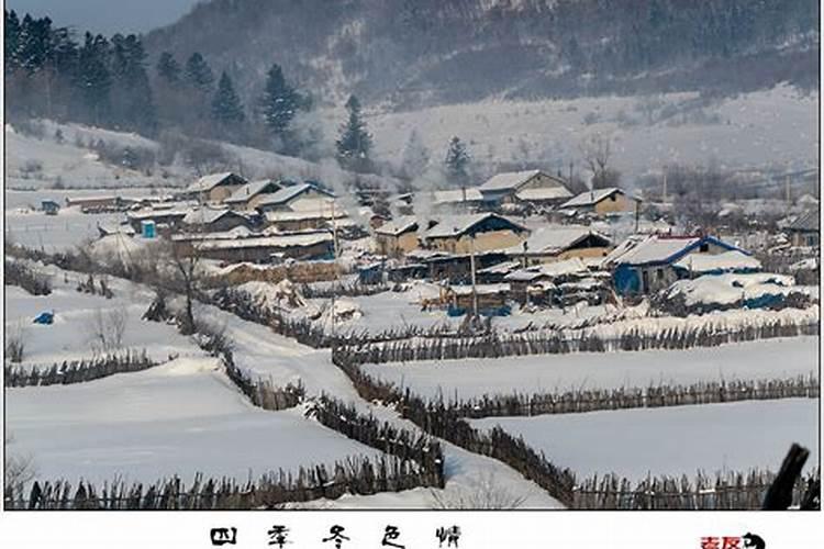 冰天雪地下的东北乡村振兴研学之旅
