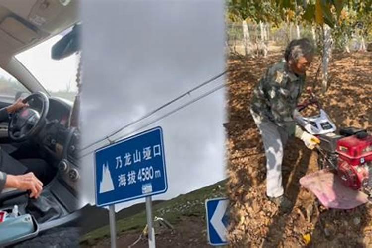 71岁奶奶带祖孙三代自驾进藏：没有高反，下一次再去新疆