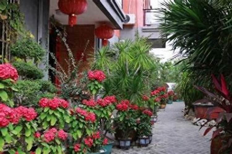 三亚梅西村：和美乡村迎来大批游客