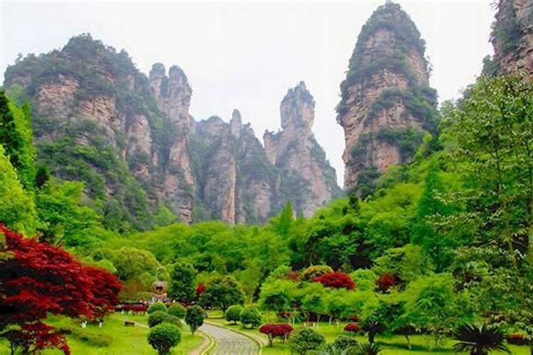 张家界报团五天旅游多少钱，跟团去张家界旅游5天需要多少钱？