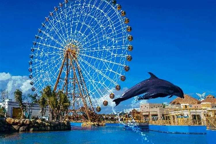 海南十大亲子游景点带娃去海南这些地方旅游就对了