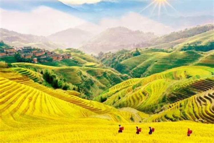 广州出发-广西3天游，秋摄龙脊梯田+打卡如意峰+富里桥+遇龙河