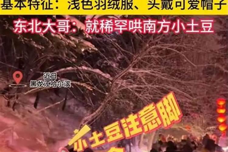 “南方宝宝”勇闯哈尔滨之超细旅行攻略