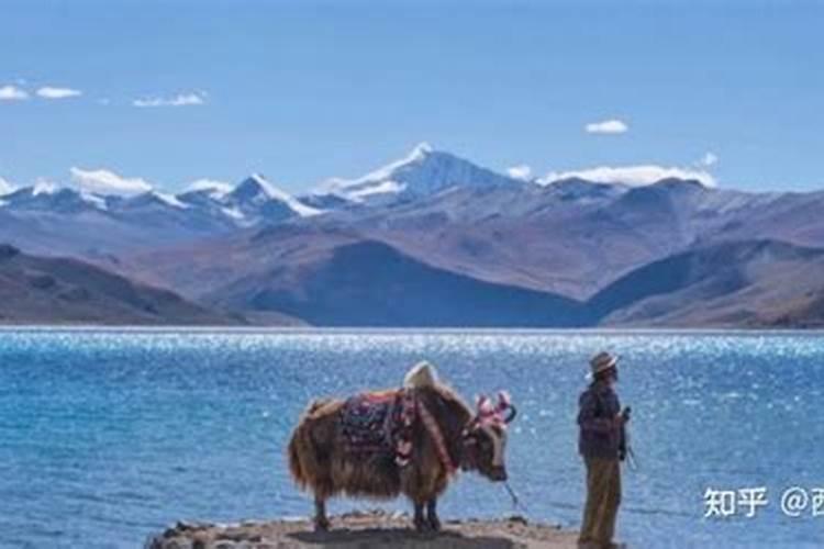 走，去西藏，旅游攻略