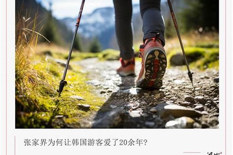 一个张家界，何以成韩国游客“尽孝”的标尺？