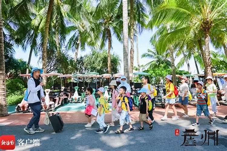 三亚崖州区“全域旅游多元崖州”研学新线路体验暑期欢乐开启？